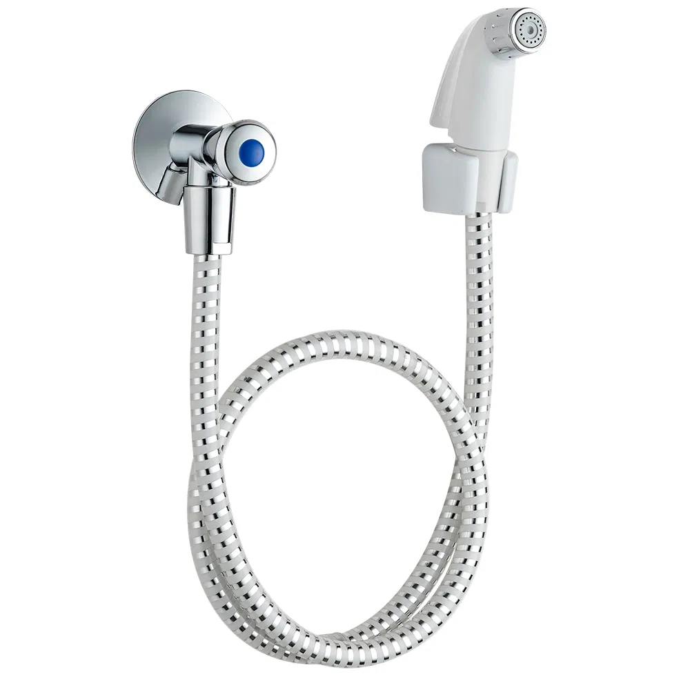 Hardware Shattaf Spray Handheld Bidet Sprayer for Toilet Sliver Color Shataff