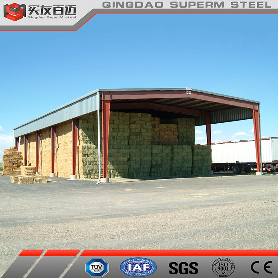 Prefabricated Steel Structure Warehouse Metal Frame Shed Building Construction