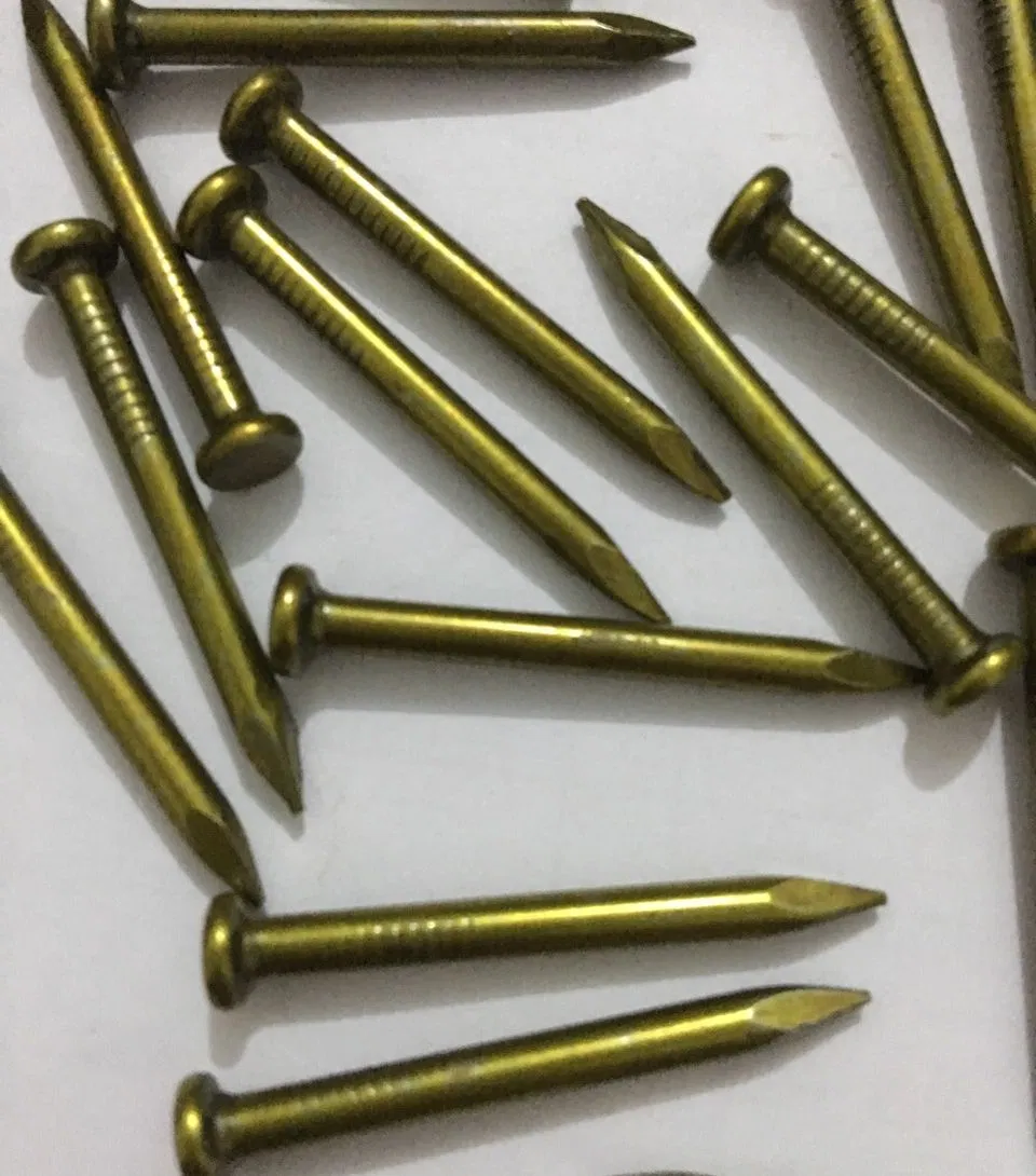 Pre-Galvanized Steel Express Nails Steel Nails Brick Wall Nails Special Cement Steel Nails Concrete Nails