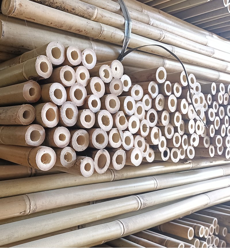 Bamboo Poles for Natural Scaffolding in Gardens/Bamboo Culms