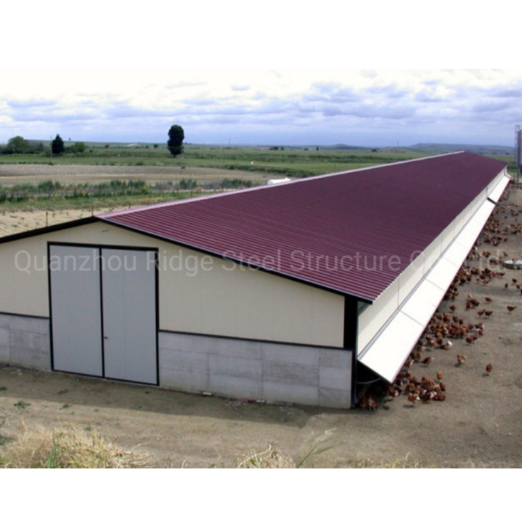 Metal C Purlin Welded Prefabricated Steel Structure Dairy Cow Shed Poultry Farm for Livestock Farming