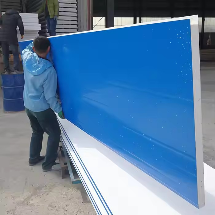 High Quality GMP Certified Esp Panel Insulated Roof and Wall MGO Sandwich Panel Cleanroom Panel for Clean Room Project