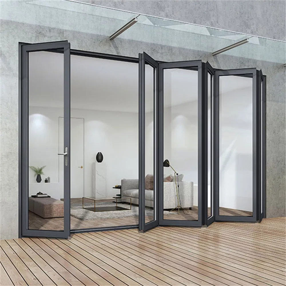 Iron Double Entrance Gate Security Exterior Design Metal Fire Patio Interior Balcony Kitchen Steel Glass Wood PVC Aluminum Aluminium Folding Sliding Window Door