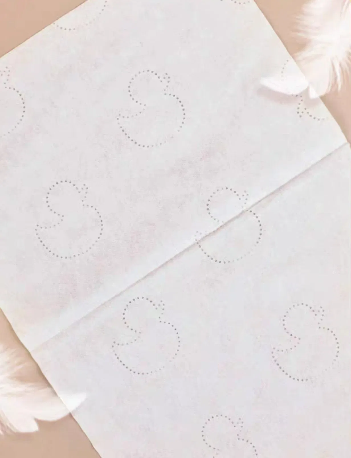 Special Price Soften Paper Wipes with Free Sample