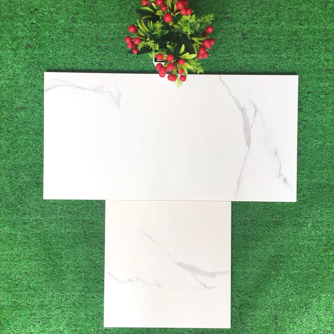 Buliding Material Ceramic Wall Tile 3D Inkjet Digital Printing (300*600mm)