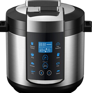 Multifunction Electric Pressure Cooker with Deep Fryer Sb-100V