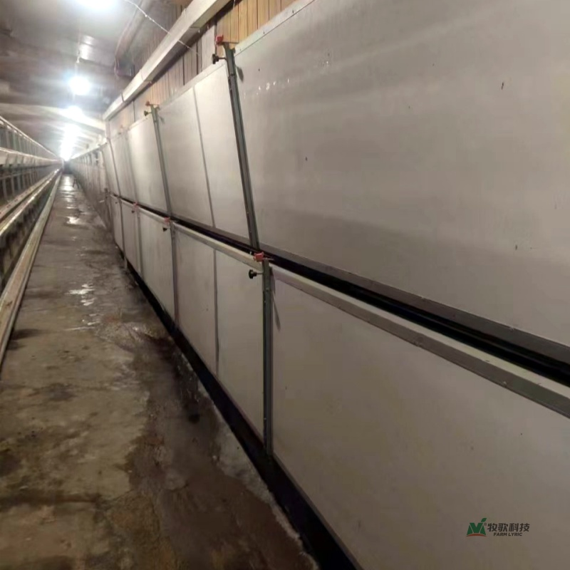 New EPS Sandwich Panel for Chicken House Ventilation System