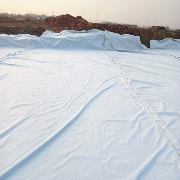 Geotextile for Engineering Nonwoven Geotextile Fabric Filter Material Geotextile for Soil Separation