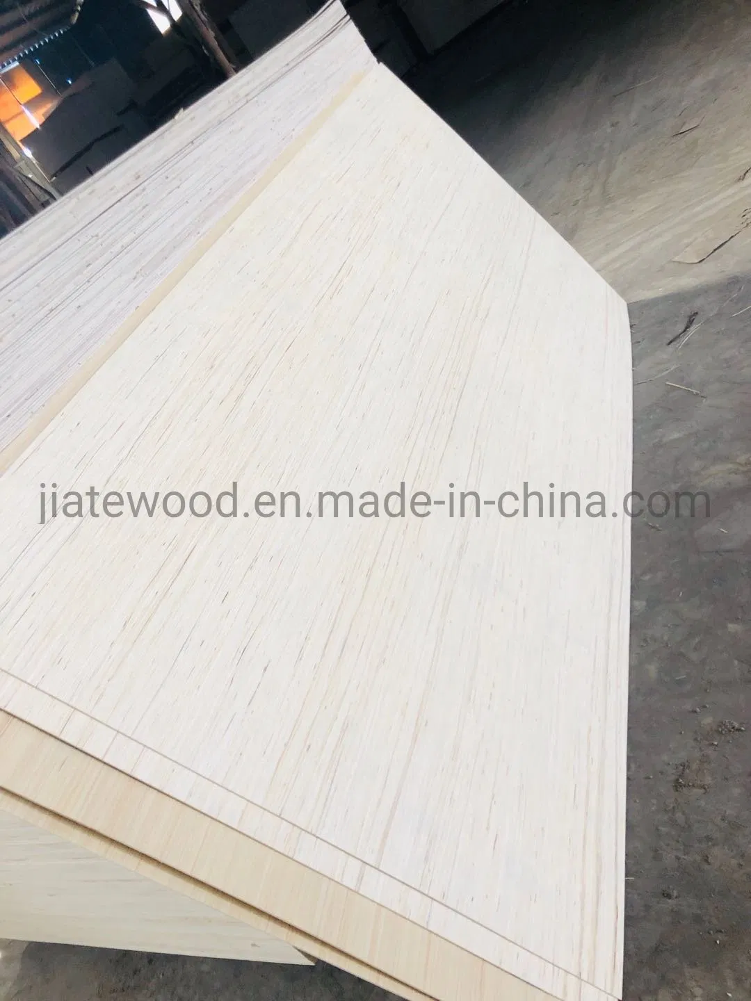 EV Poplar Plywood in Size 1220X2440 mm