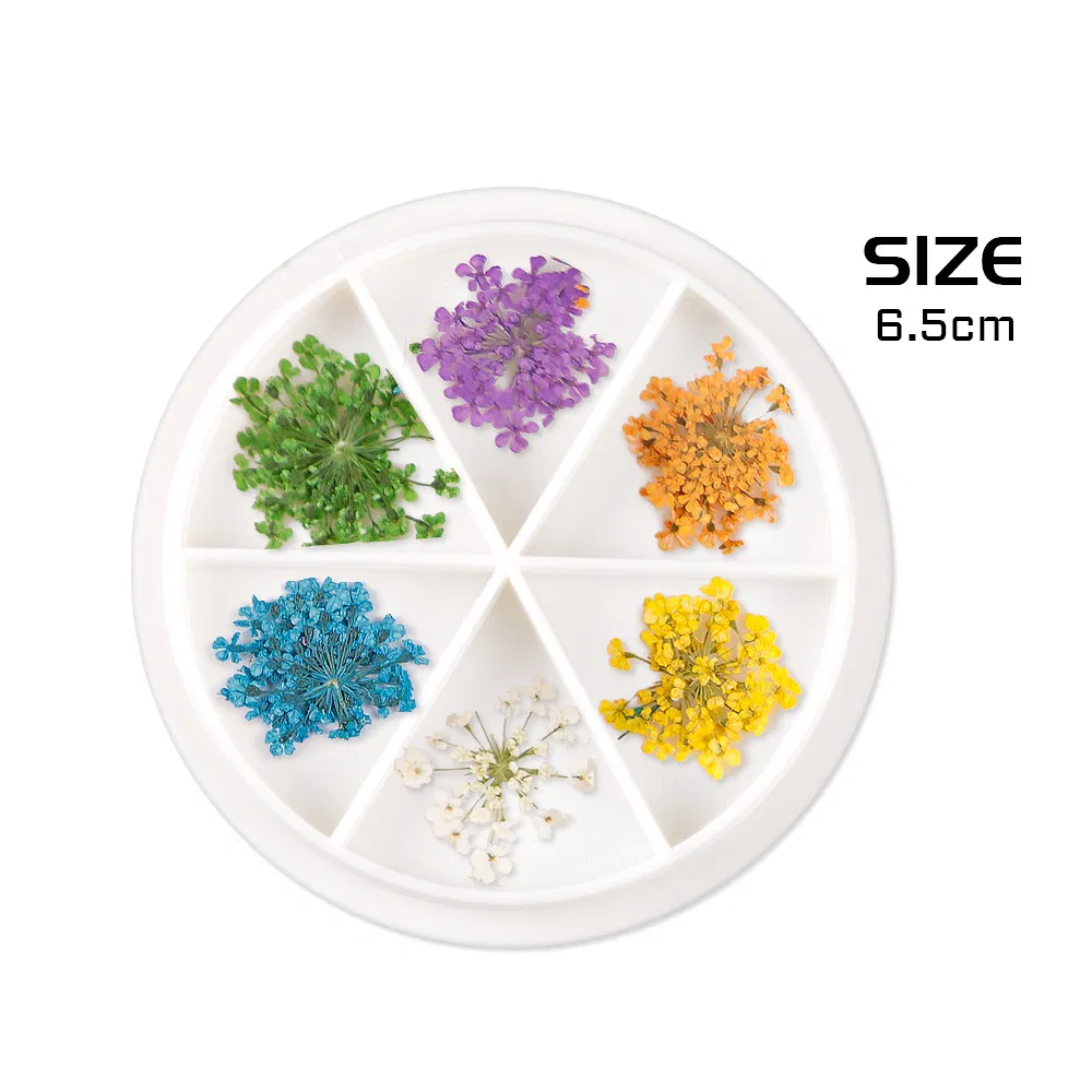 3D Nail Dried Flowers Sticker Colorful Nature Nail Art Design Nail Decals Dried Flowers