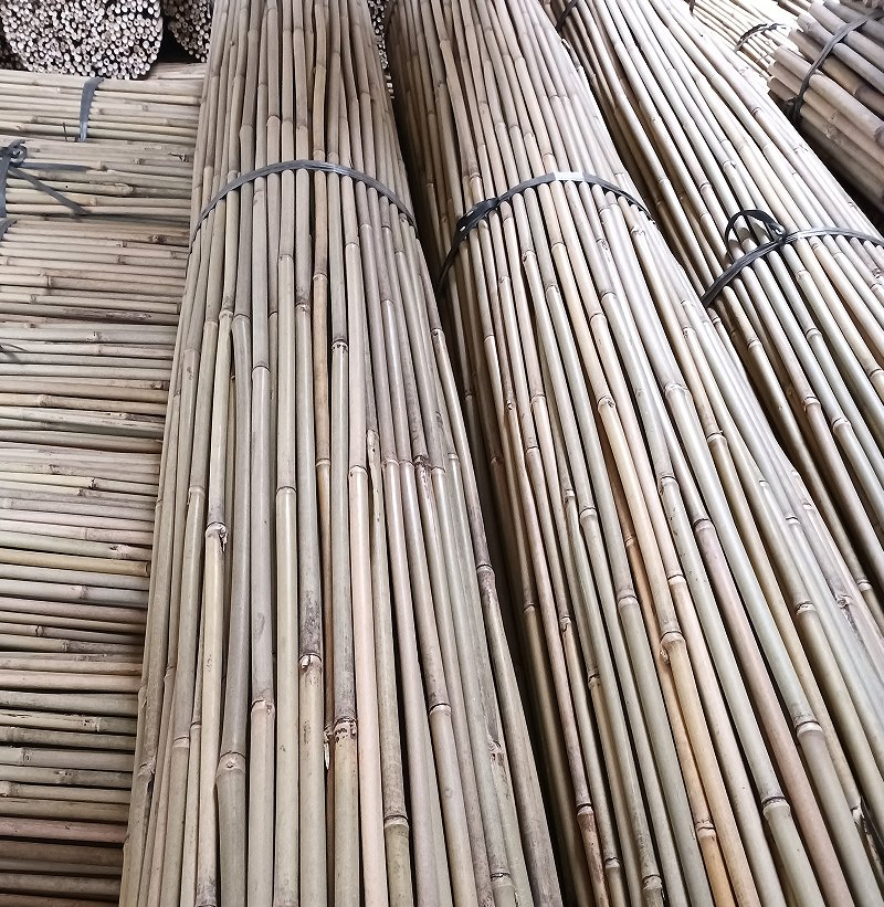 Tea Bamboo Cane Also Called Sometimes Tsinglee Bamboo Pole