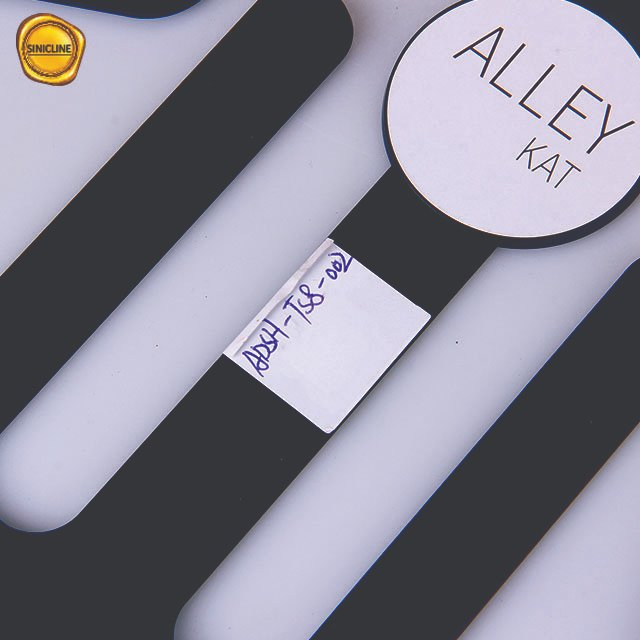 Sinicline Custom Logo High Quality Plastic Shoe Hanger