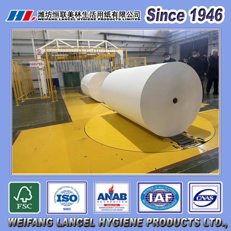 China Produce Tissue Paper Jumbo Roll for Toilet Paper/Toilet Tissue/Kitchen Paper Towel/Hand Towel