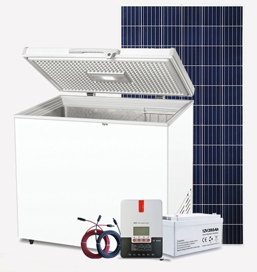 Solar Panel and Battery Solar Powered Deep Freezer for Sea Food