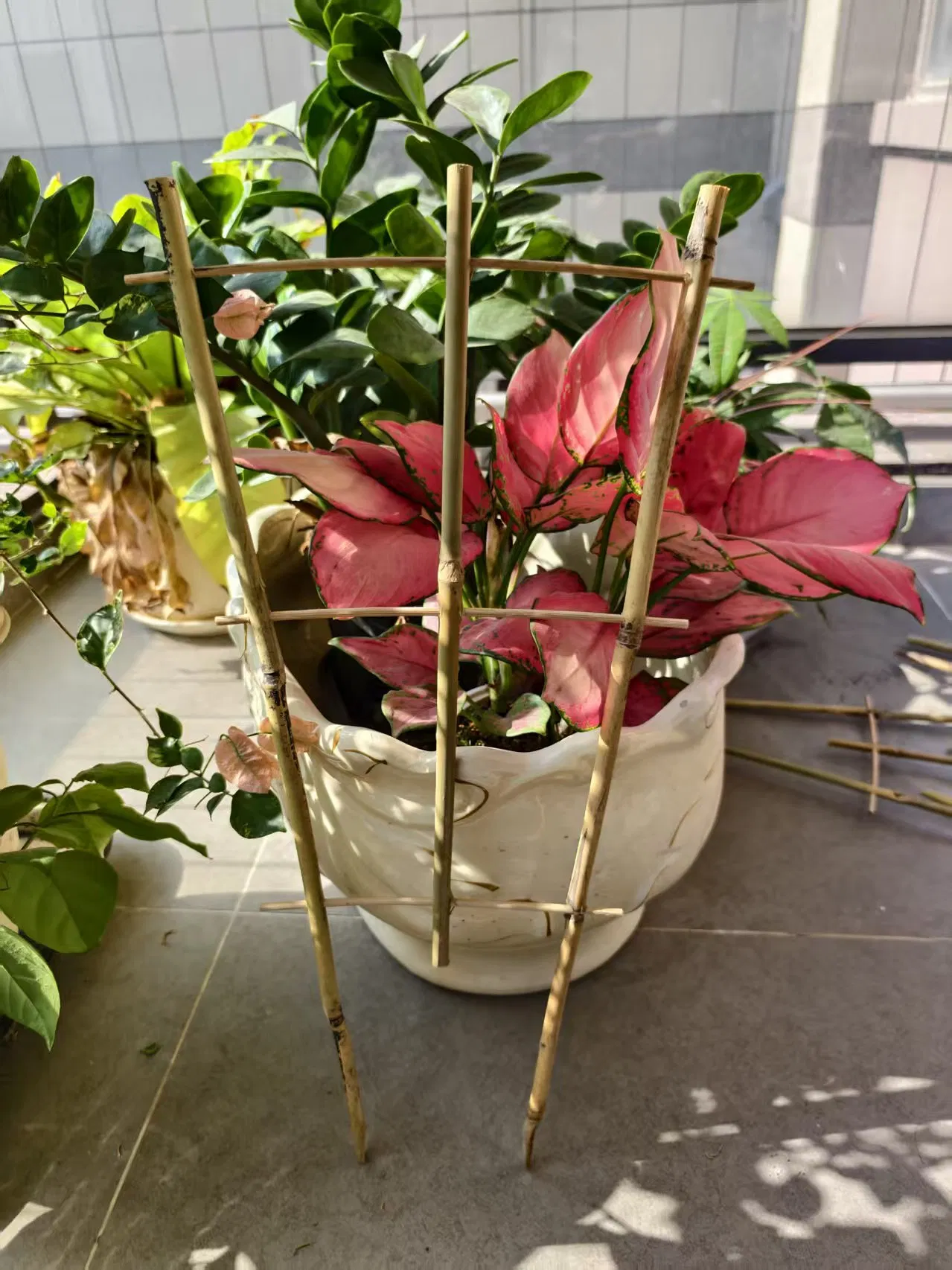 Bamboo Trellis U Bamboo Trellis Fan Trellis for Flowers Support and Growing