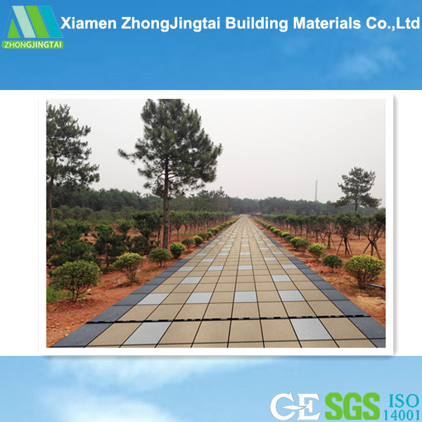Ecological Water Permeable Ceramic Brick for Sidewalks/Plaza/Park