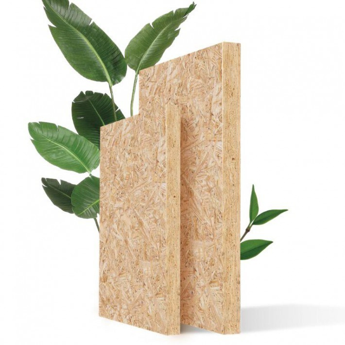 9mm 12mm 18mm Waterproof OSB Board Wood Panels OSB Manufacturer