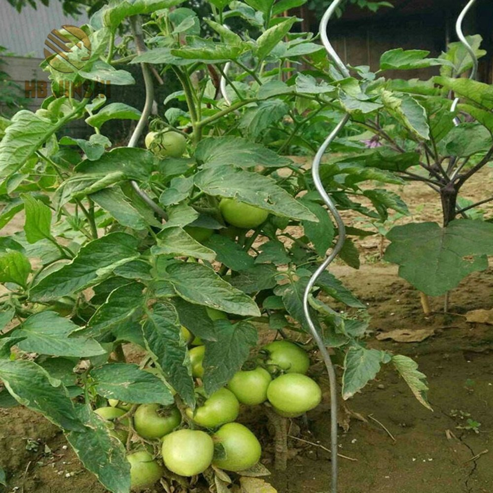 Heavy-Duty 6mm Galvanized Steel Rod for Tomato Support