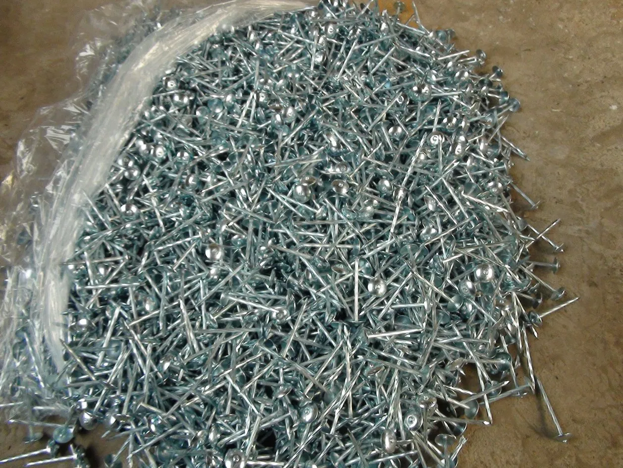 Galvanized Roofing Nails 2"X Bwg9, 2.5"X Bwg10