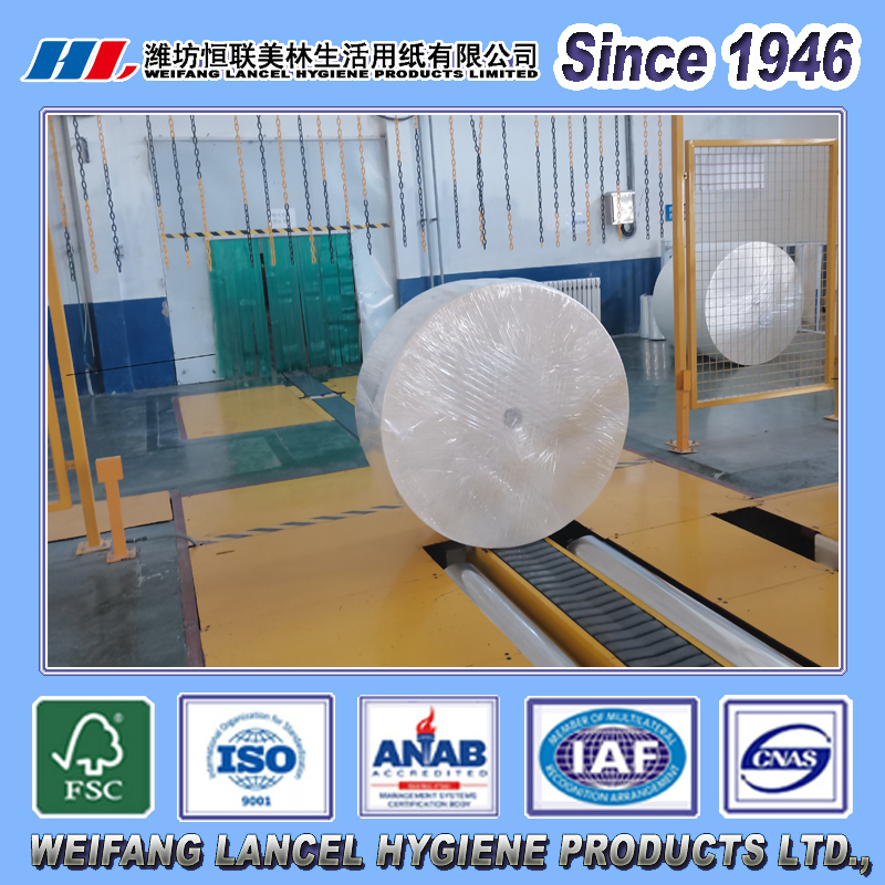 China Produce Tissue Paper Jumbo Roll for Toilet Paper/Toilet Tissue/Kitchen Paper Towel/Hand Towel