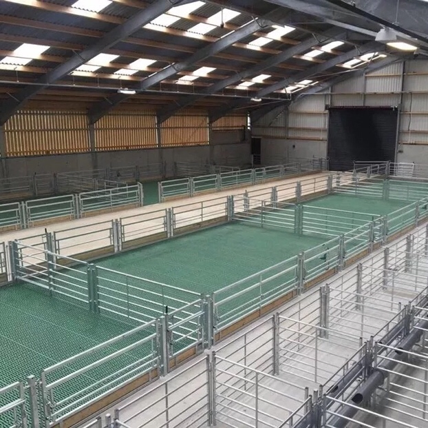 Prefabricated Strong Wind Resistant Frame Structure Basketball Stadium Roof