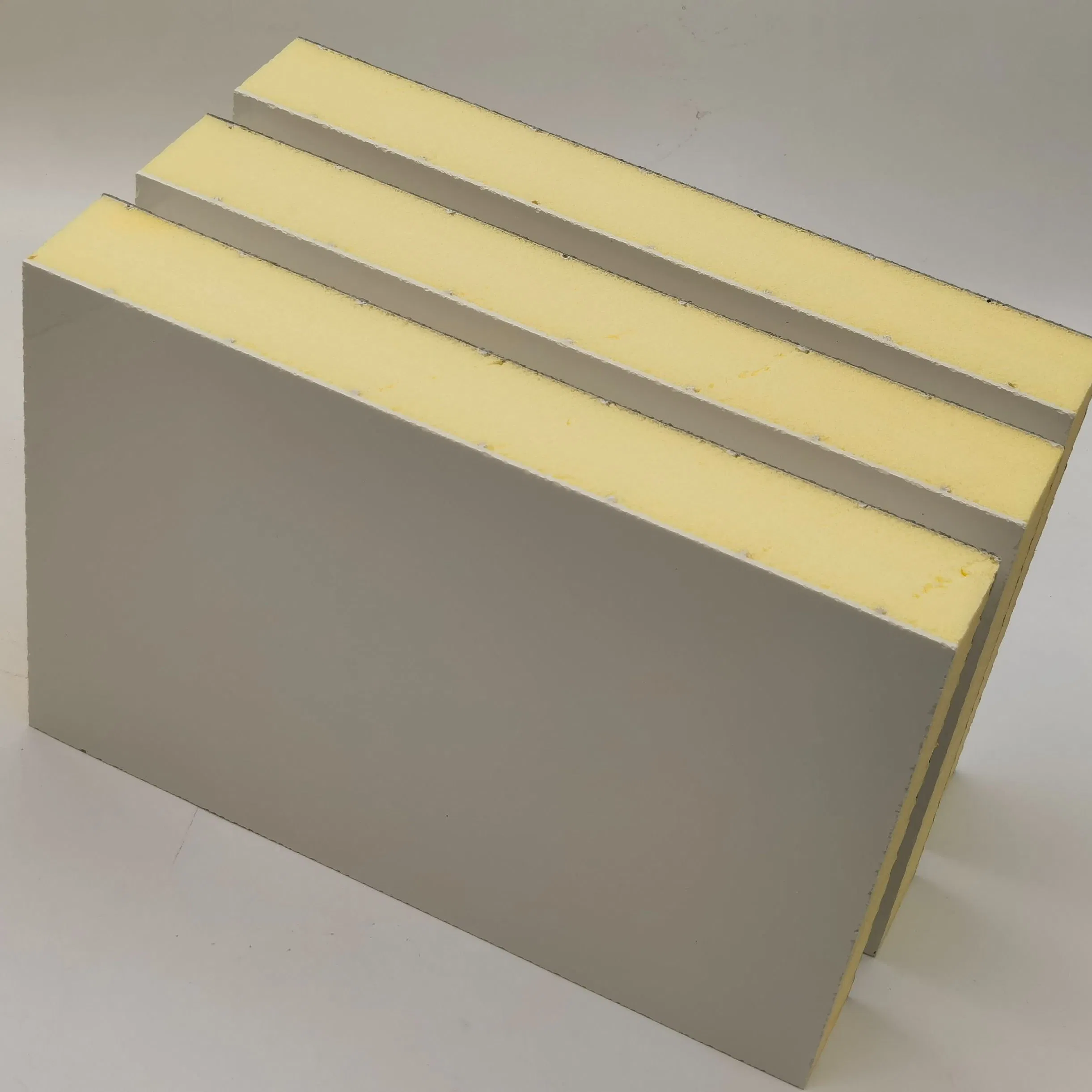 Thermal Insulation Foam Board FRP XPS Foam Core Panel for Cold Storage