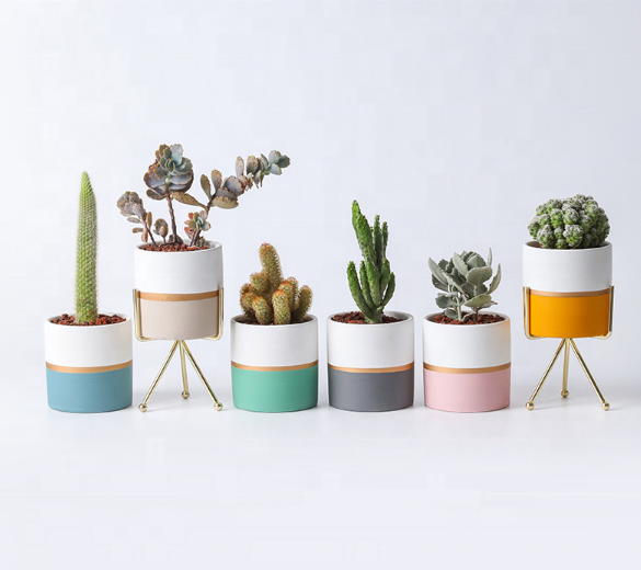 Набор горшков керамических скандинавский стиль золотая окантовка 2 шт