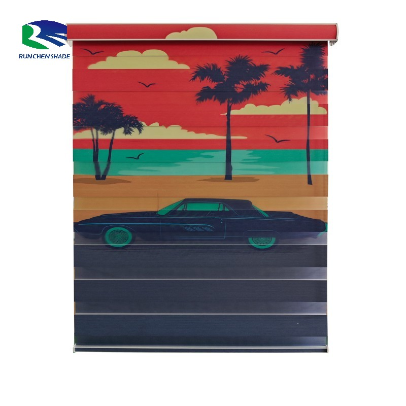 Zebra Blinds Electric Motorized Curtain Pure Color Printed Style Roller Shades Everyday Use Built-in Plain