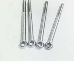 Глазковый болт DIN444 из нержавеющей стали для бетона