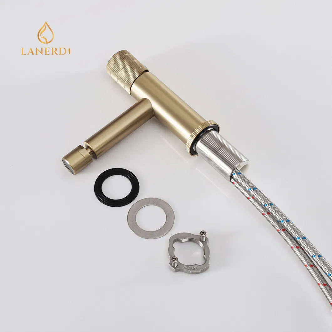 Смеситель для биде с вращающимся изливом, нержавеющая сталь