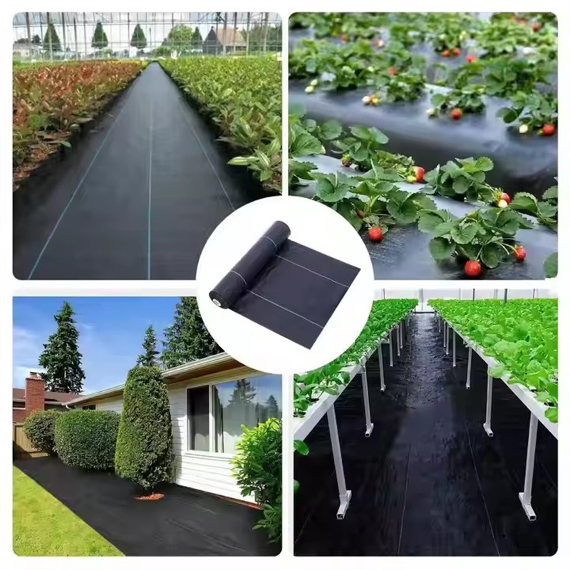 Black100GSM Agricultural Fabric Mat Plant Protection Cover Plastic Weed Mat Custom Cut