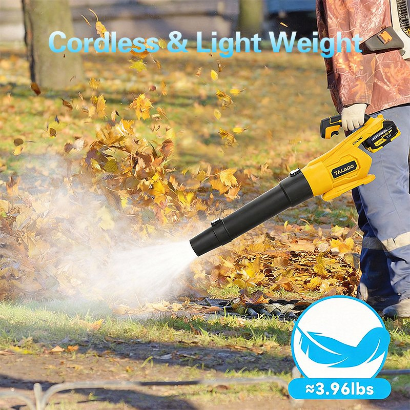 Reliable Energy Efficient Blower for Roof Gutter and Drainage System Cleaning Blower