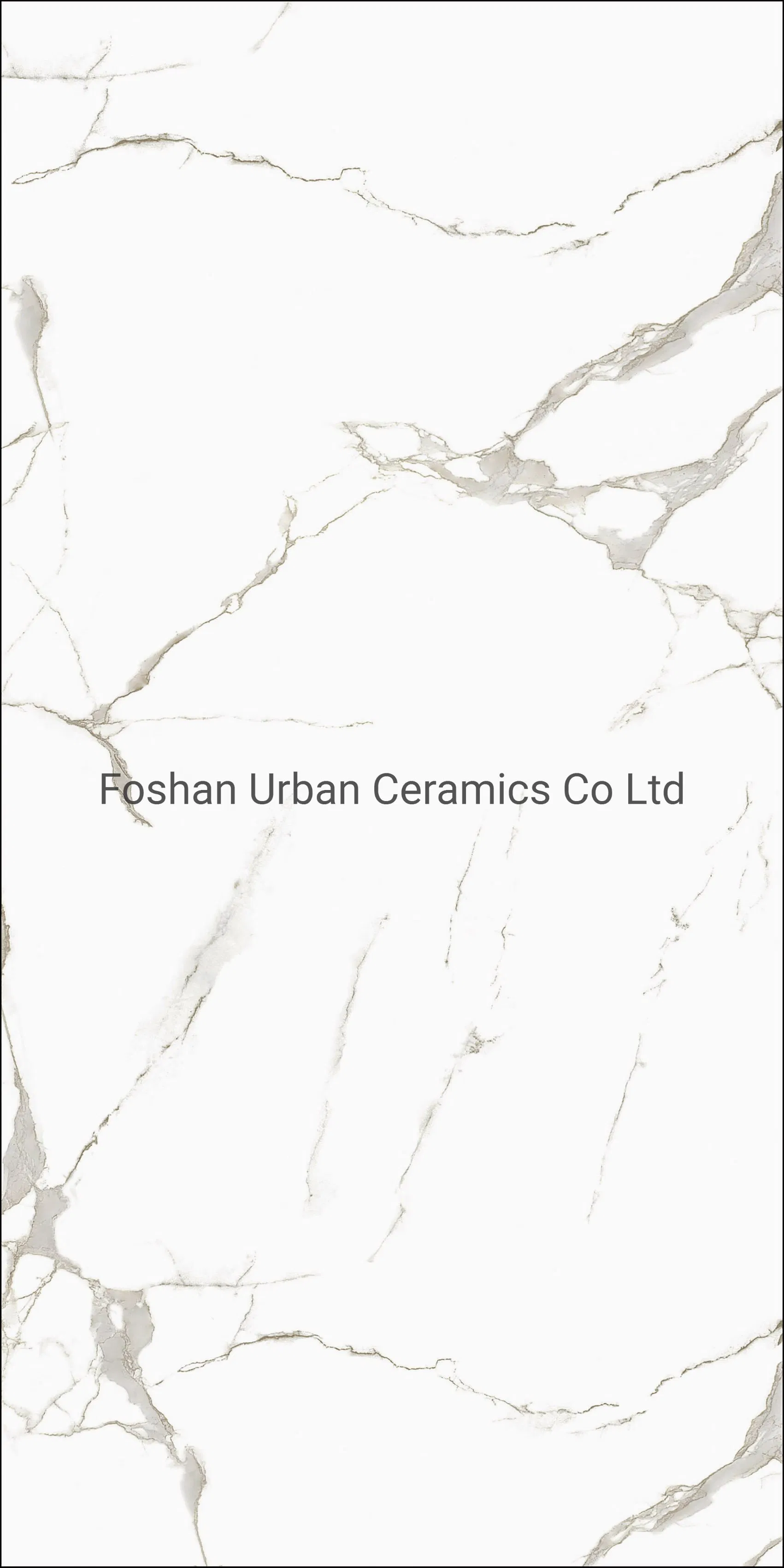 Tb612001 Foshan Caracatta White Carara White Color Decoration 600X1200mm Full Body Glazed Polished Porcelain Marble Floor Wall Tile