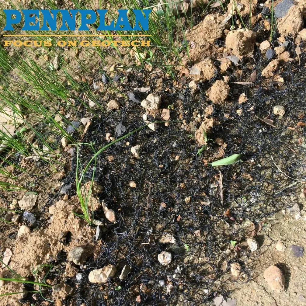 Acid and Alkali Resistant 3D PP Geomat Plant Root Grow and Slope Protection Erosion Control Mat/ Sound Control Mat
