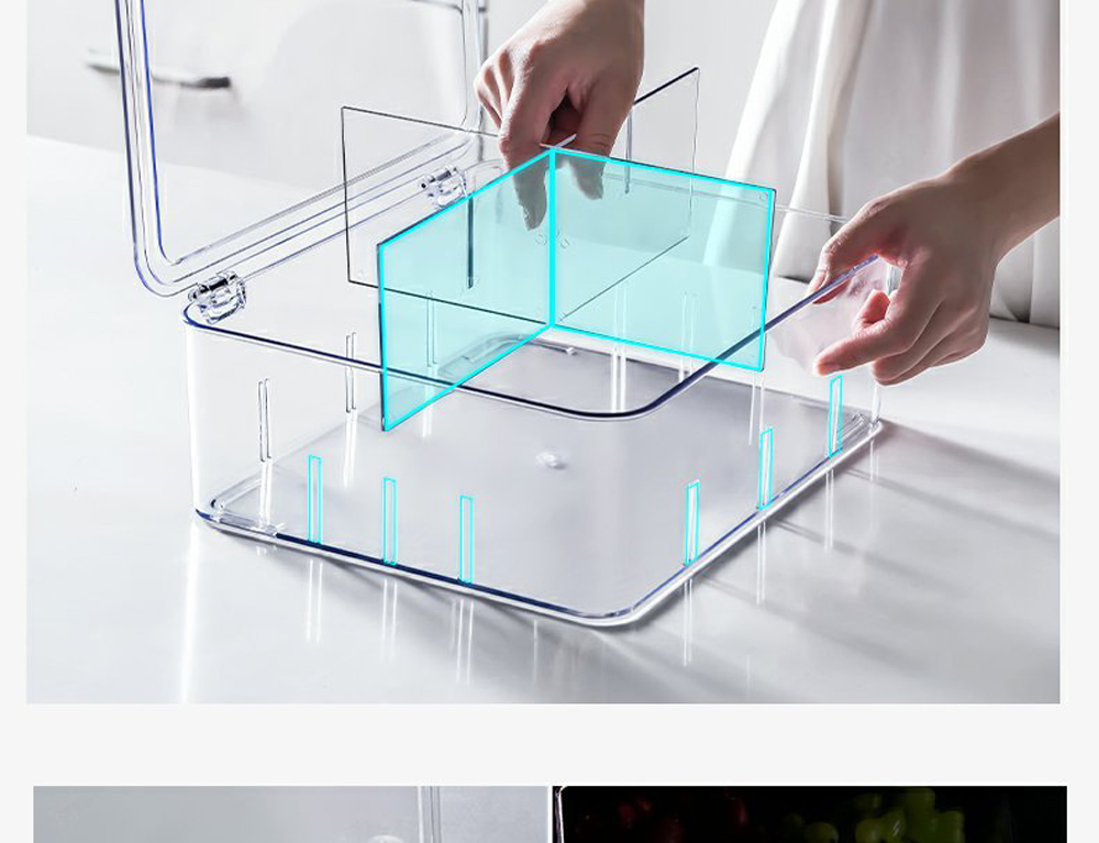 Kitchen Pet Transparent Compartment Refrigerator Storage Box Fresh-Keeping Box