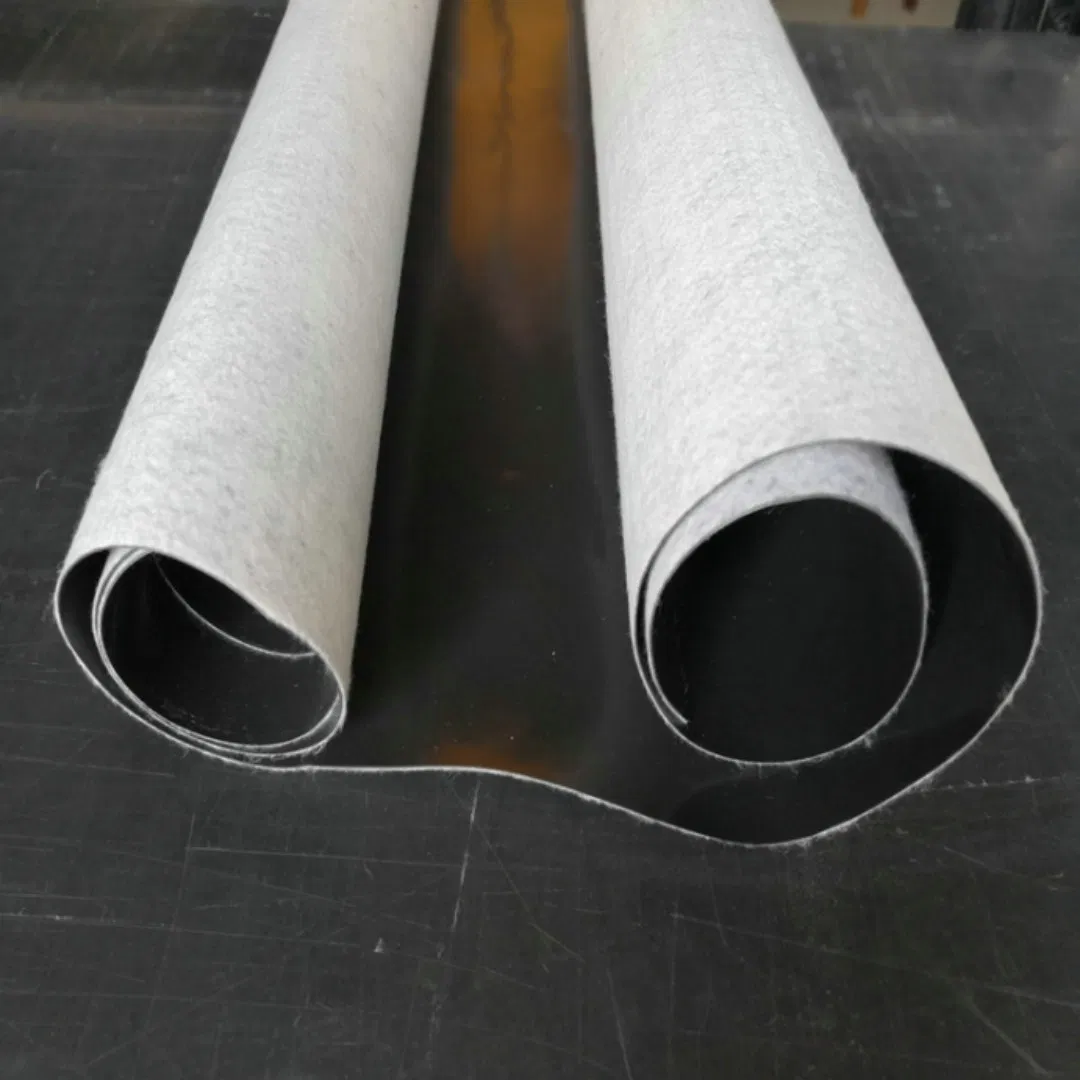 Geocomposite HDPE Geo Membrane with Geotextile