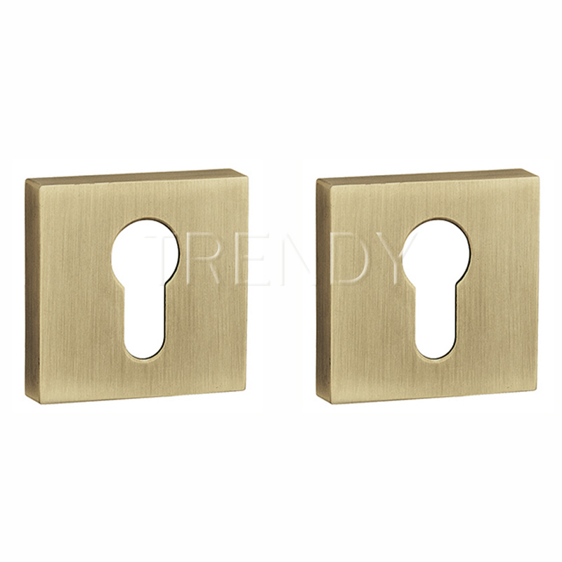 Square Cylinder Rosette Zinc Alloy Escutcheon Cylinder Base Lock Cover (ZR27-CL)