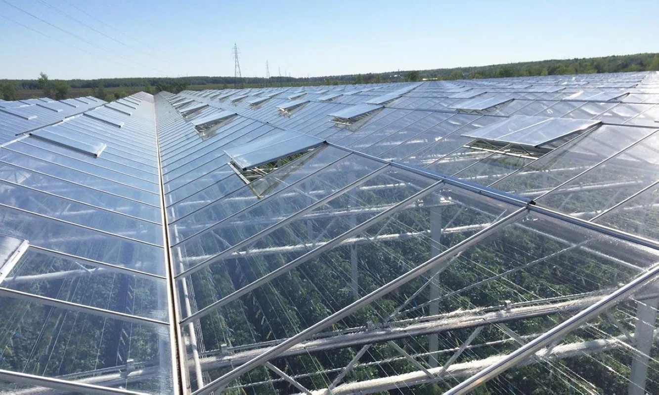 Structural Steel Fabrication Modular Steel Structure Greenhouse for Horticultural Use