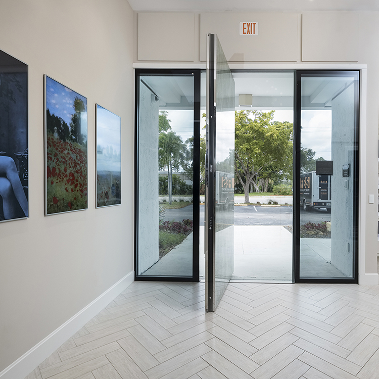 Spring Pivot Door with Aluminum Frame Tempered Glass Door for Glass Partition Door