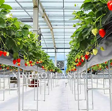 White Weed Mat Reflective Ground Cover Fabric Reflect Light White Cloth for Greenhouse Orchard