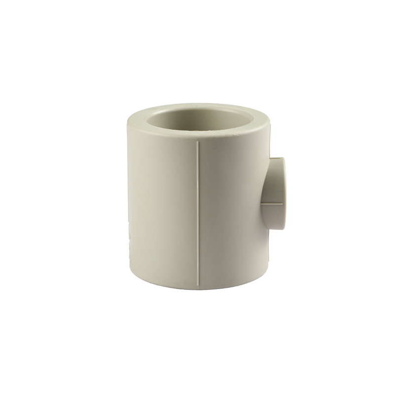 2021 Hot Sale Full Size Plastic Pipe Fittings Pph End Cap