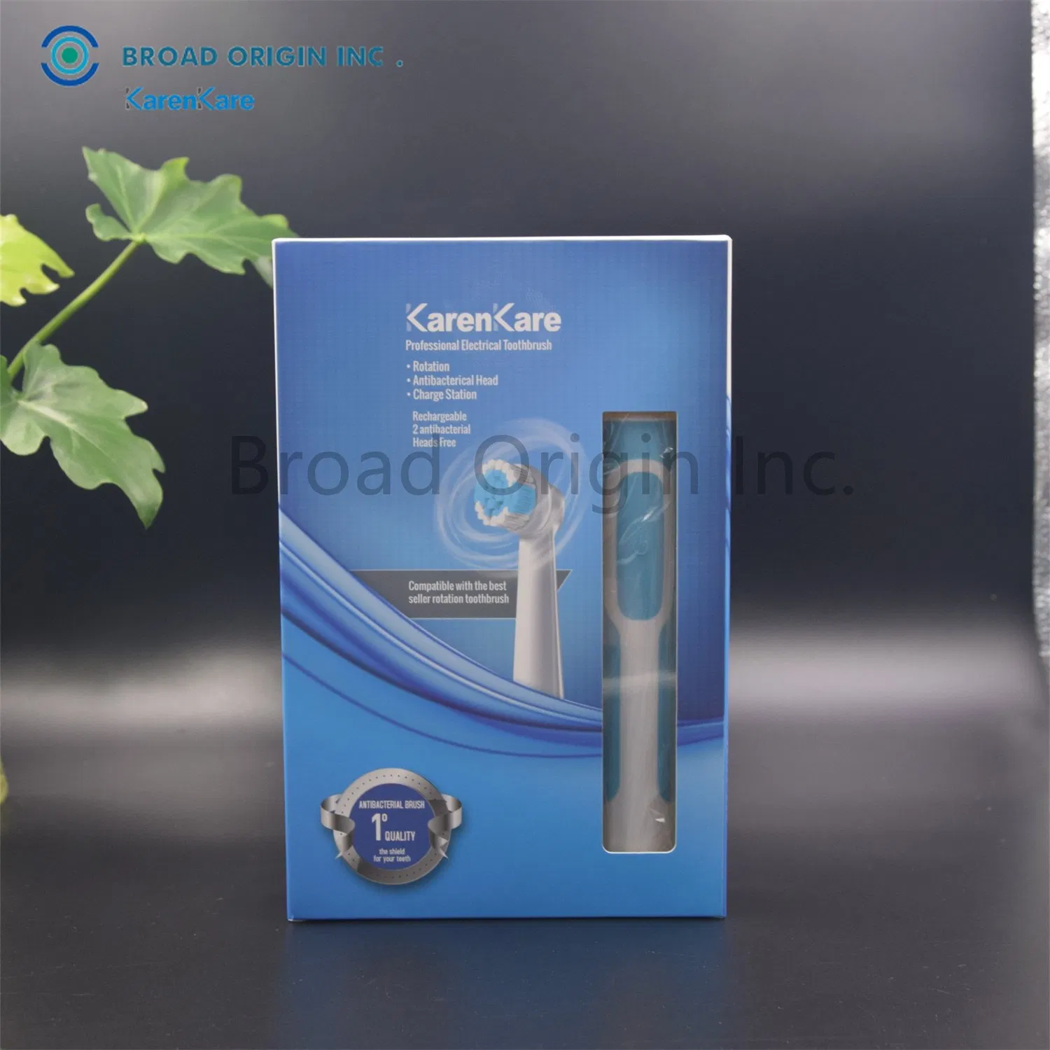 BSCI Approved Personalized Electric Toothbrush with 2PCS Toothbrush Head Electric Toothbrush Motor Electric