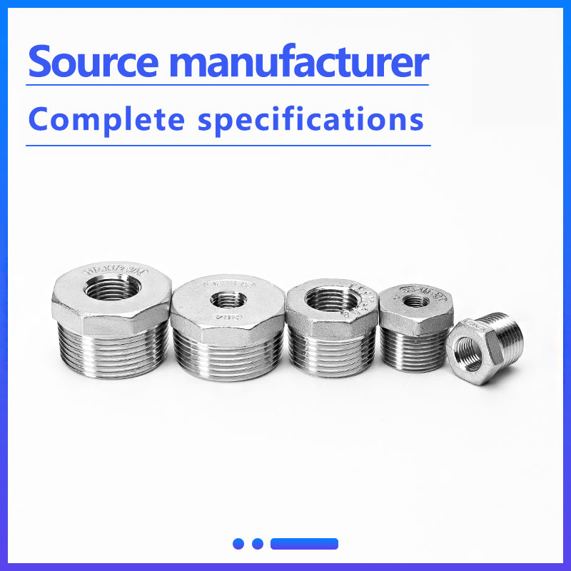 Factory Wholesale Stainless Steel Pipe Fittings SS304 SS316 Reducer Hexagon Bushing