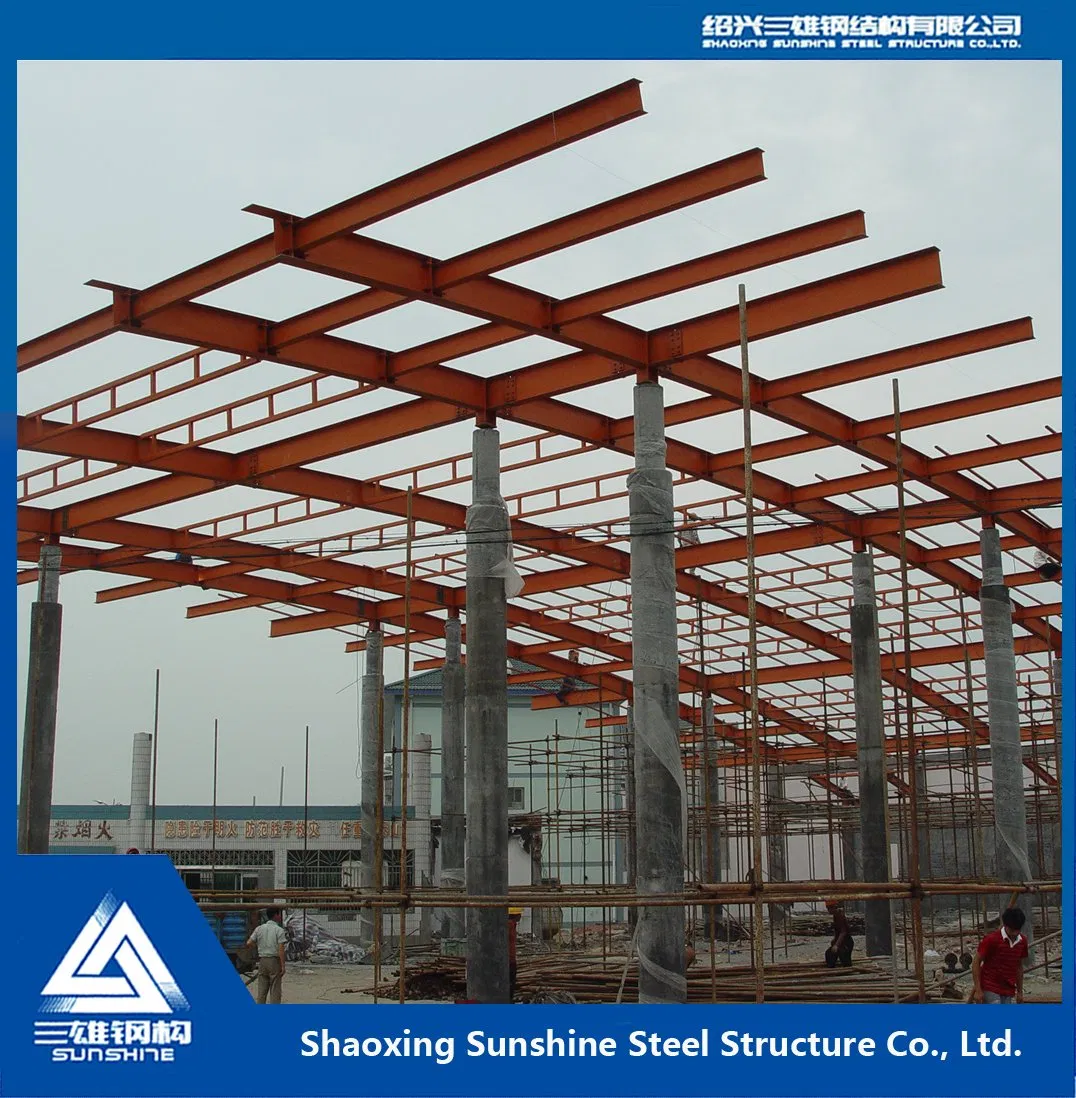 Modern Steel Framed Roof Solutions for Trendy Architecture