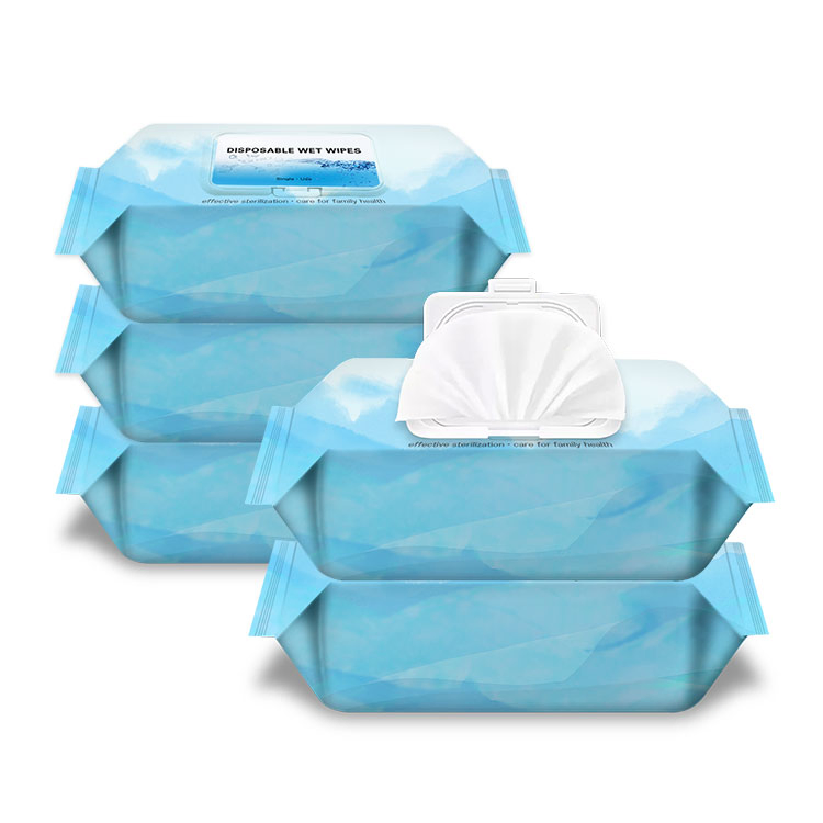 OEM Custom Antibacterial Soft Material Alcohol Cleaning Wet Wipe
