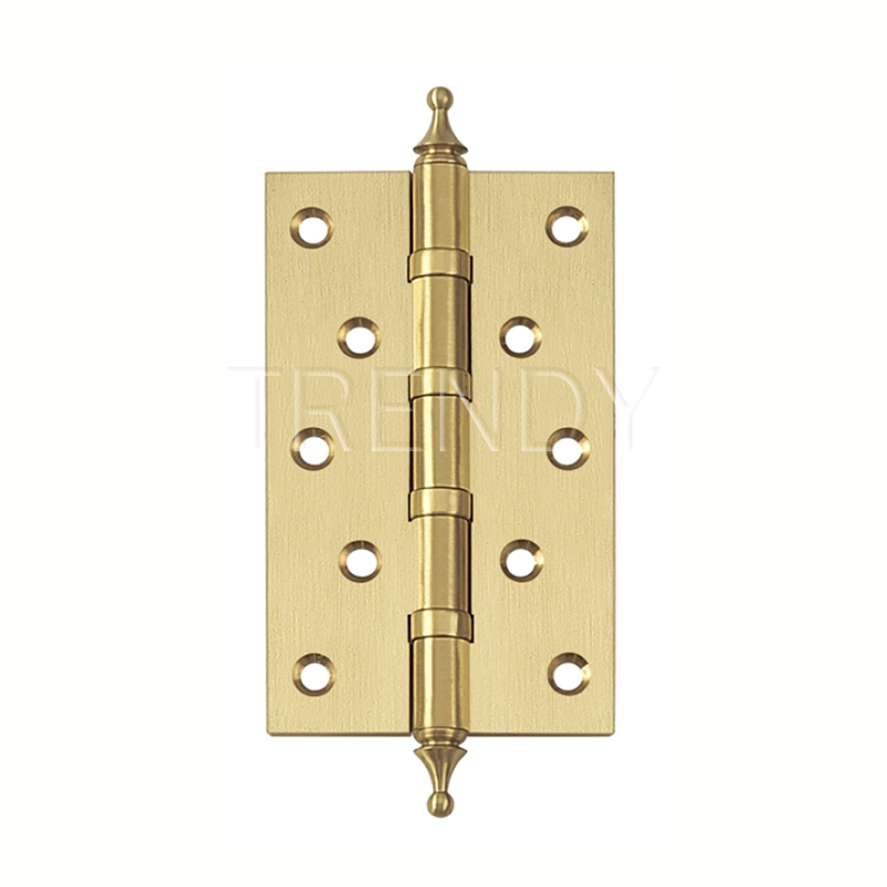 Chrome Color Hinges Hardware Manufacture Flat Head Brass 2 Bb Door Hinges (HG-0001)