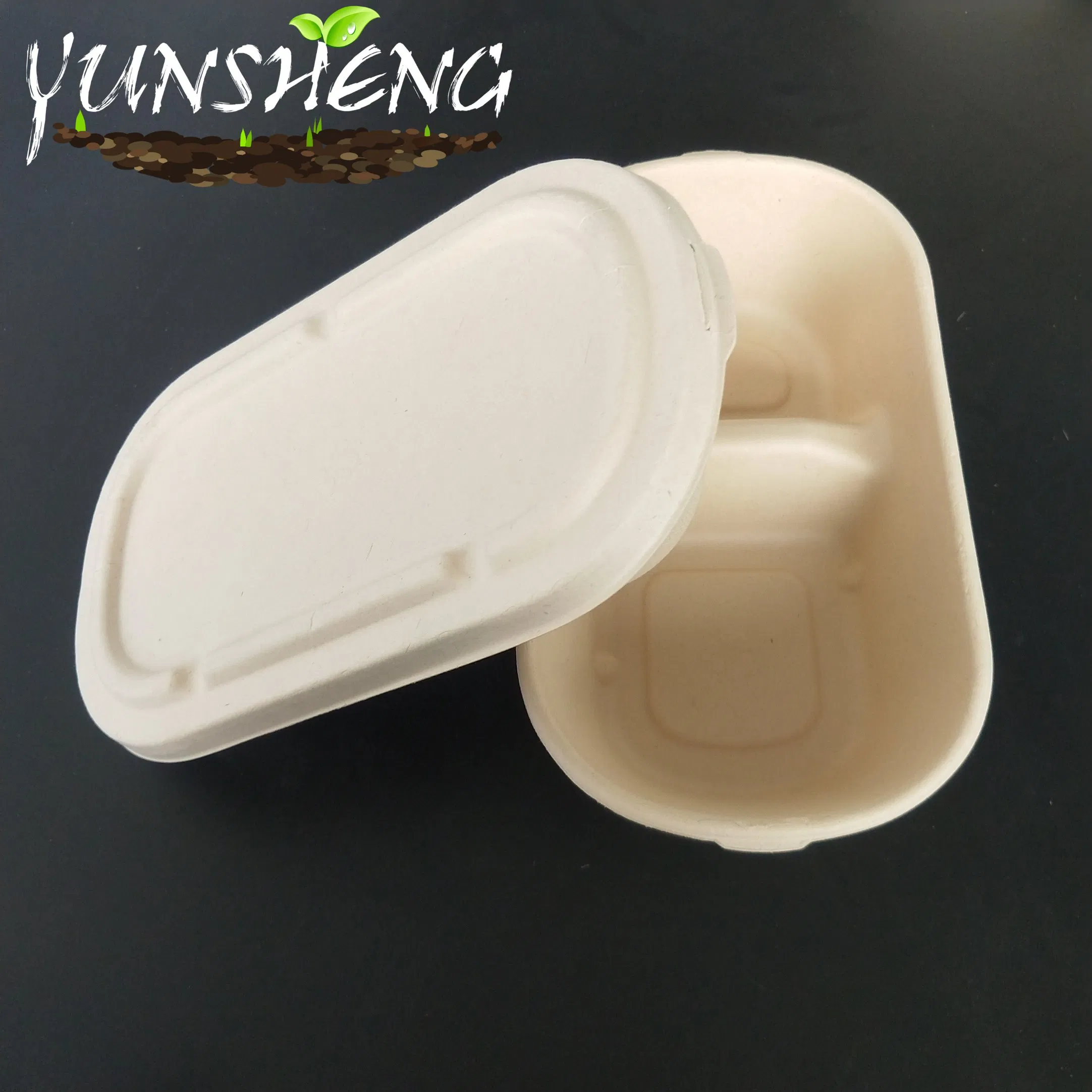 Eco-Friendly Customized Disposable Wheat Straw Paper Box with Lids Which Are Two Compartments