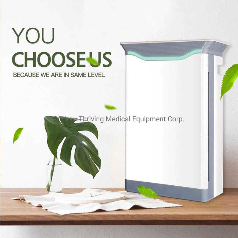 China Manufacture Ozone HEPA Filter Air Condition Air Purifier Humidifier for Home Air Purification System