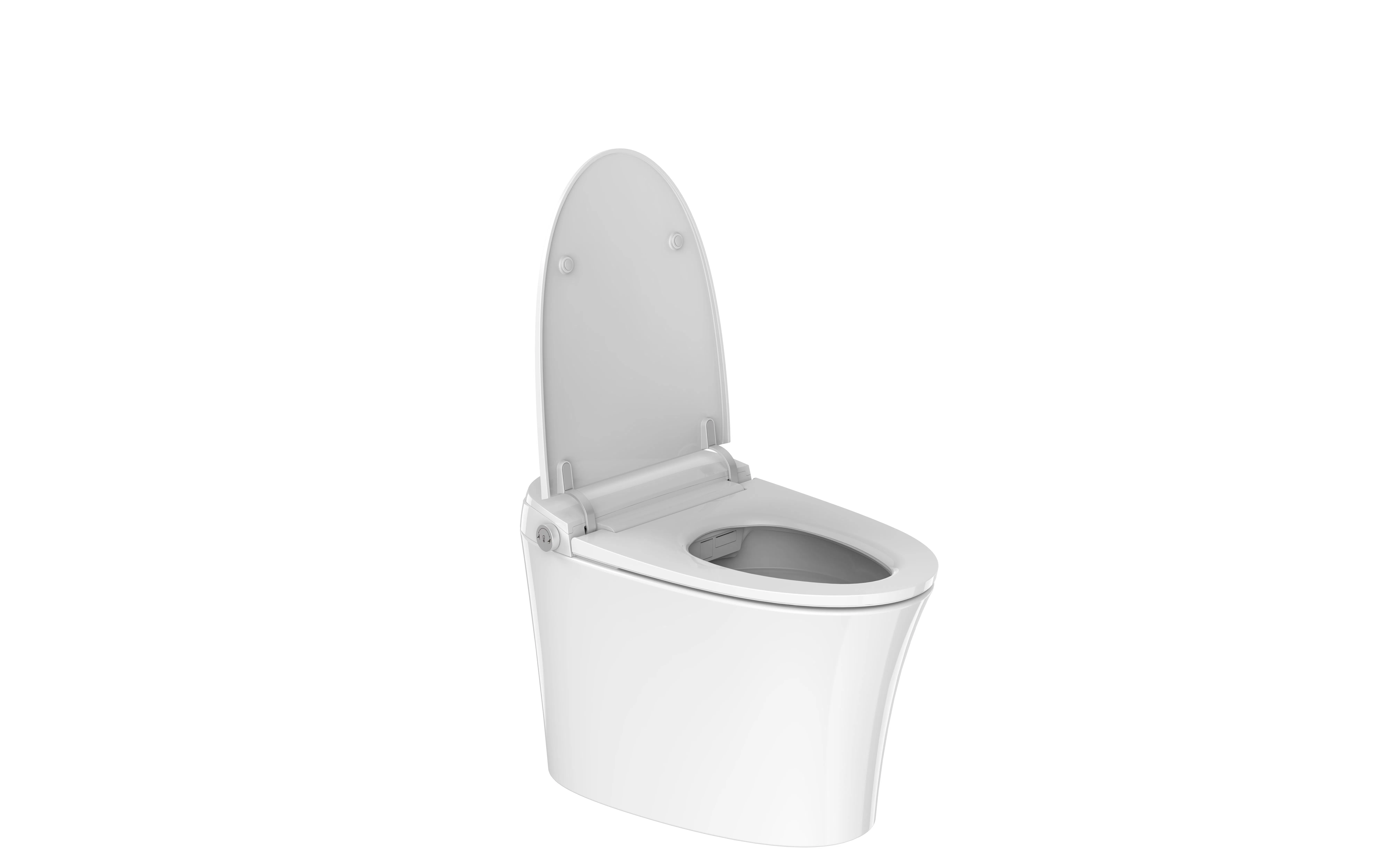 Ta-X561df Modern Bathroom Ceramic Automatic Deodorization One-Piece Smart Toilet
