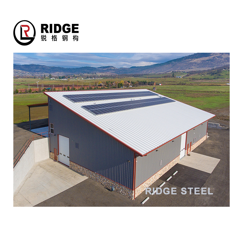 Anti-Rust Painting China Low Cost Waterproof Factory Workshop Steel Building Structure